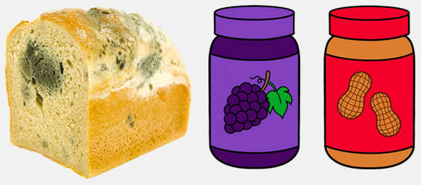 bred-jam bred jam